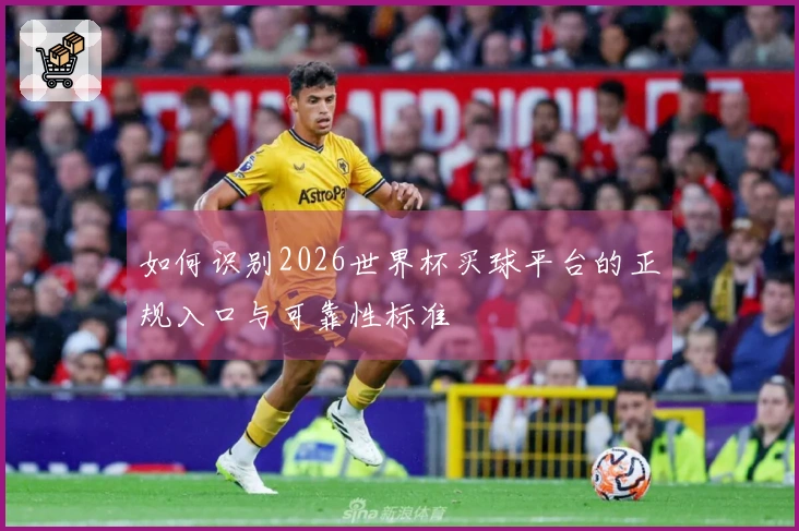 如何识别2026世界杯买球平台的正规入口与可靠性标准