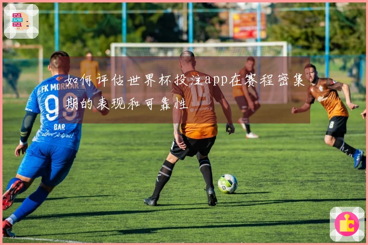 如何评估世界杯投注app在赛程密集期的表现和可靠性