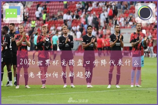 2026世界杯竞猜盘口升降代表什么，老手如何判断趋势
