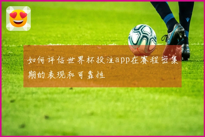 如何评估世界杯投注app在赛程密集期的表现和可靠性
