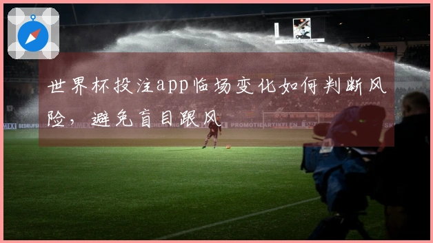 世界杯投注app临场变化如何判断风险，避免盲目跟风