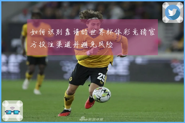 如何识别靠谱的世界杯体彩竞猜官方投注渠道并避免风险