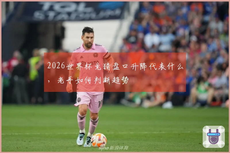 2026世界杯竞猜盘口升降代表什么，老手如何判断趋势